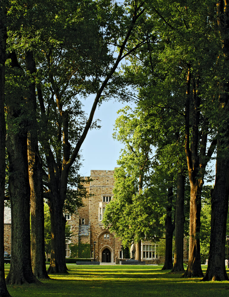 Oak Alley with a view of Southwestern Hall