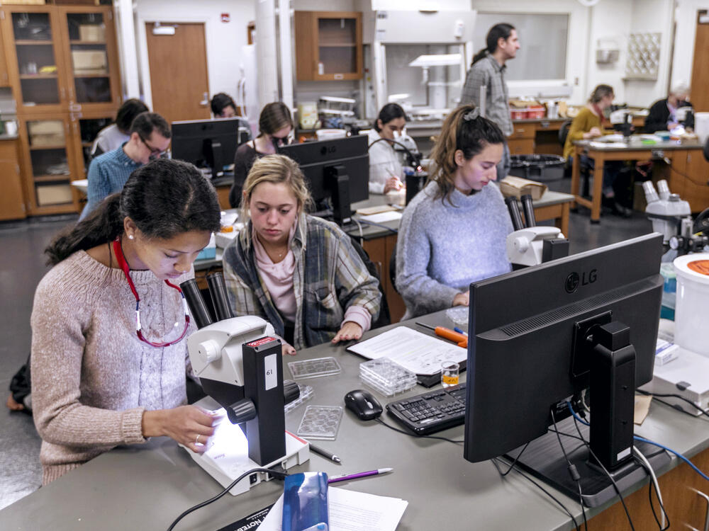 students at microscopes in the neuroscience lab