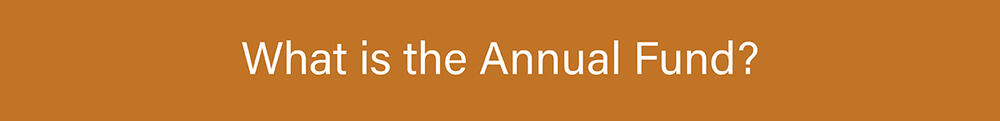 What is the annual fund?