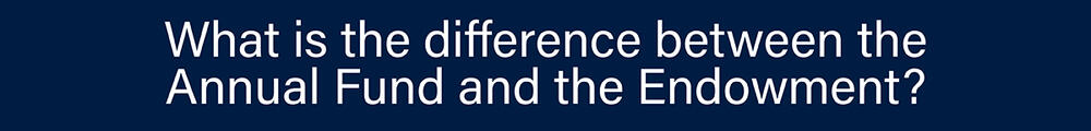 What is the difference between the Annual Fund and the Endowment?