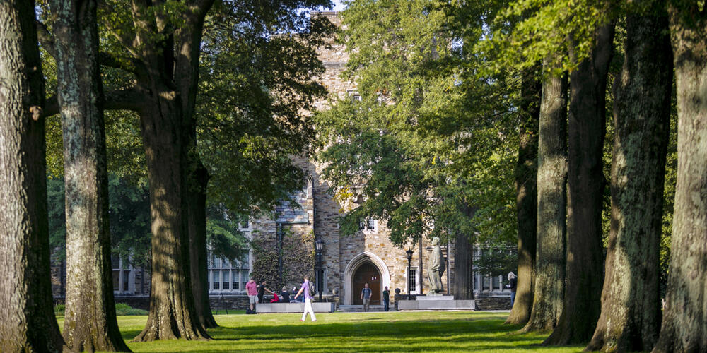 Oak Alley looking at Southwestern Hall