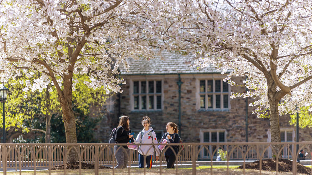 three young women stand under cherry trees in front of a Gothic stone building