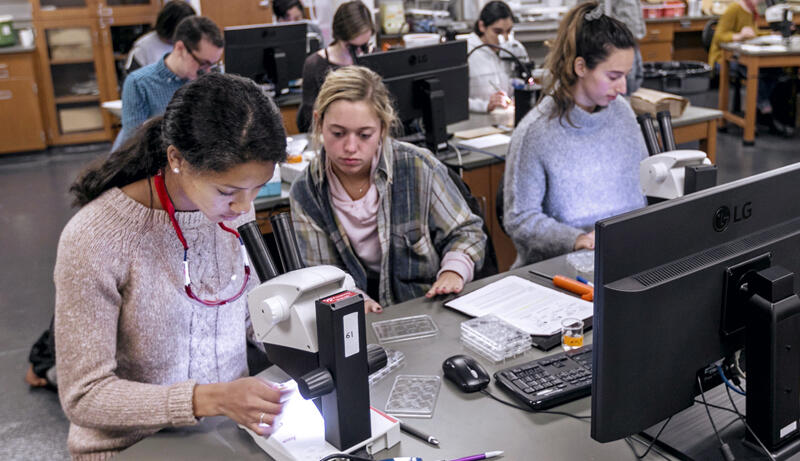 students look into microscopes in the lab