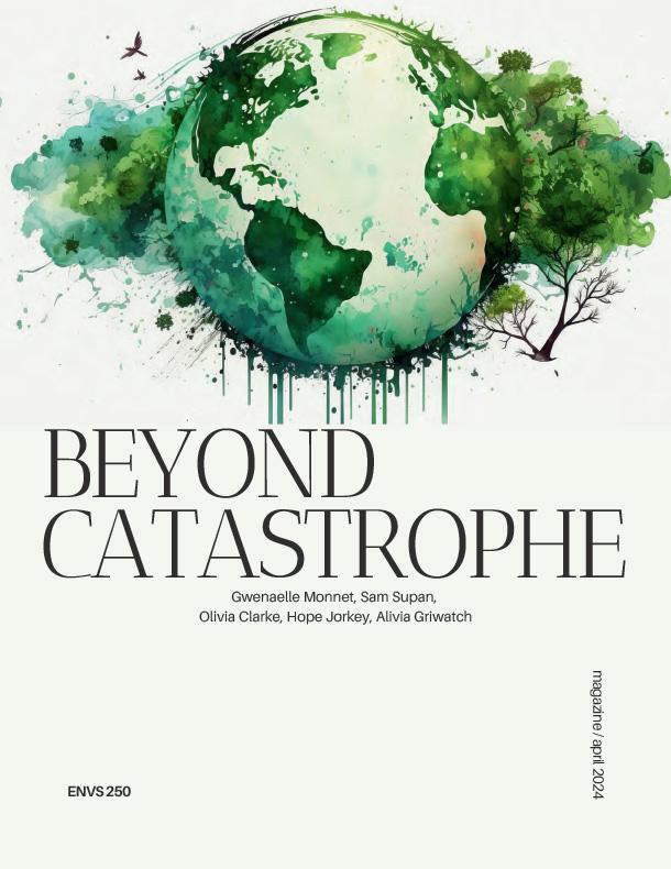 cover for Beyond Catastrophe (PDF)