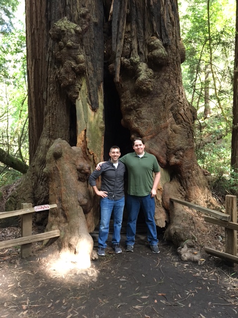 a professor and a student in front of a large tree