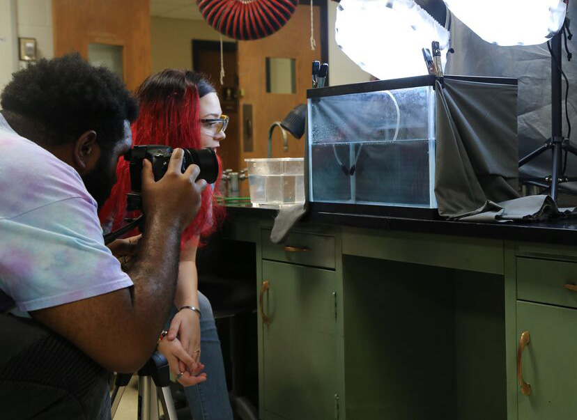 two students observe an aquarium in a lab
